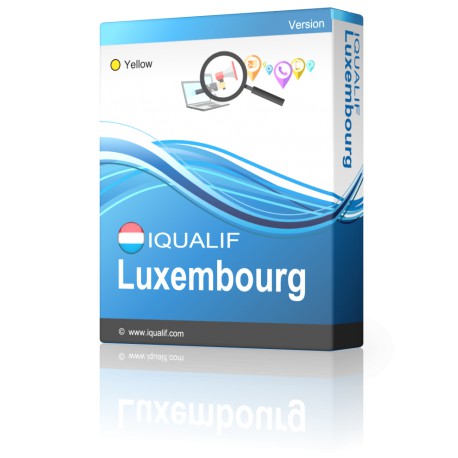 IQUALIF Luxembourg Gul, Professionelle, Erhverv