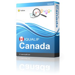 IQUALIF 캐나다 옐로우, 프로페셔널, 비즈니스