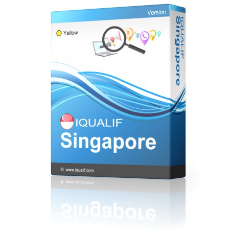 IQUALIF Singapore Geel, Professionals, Zakelijk