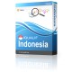 IQUALIF Indonésie Jaune, Professionnels, Business